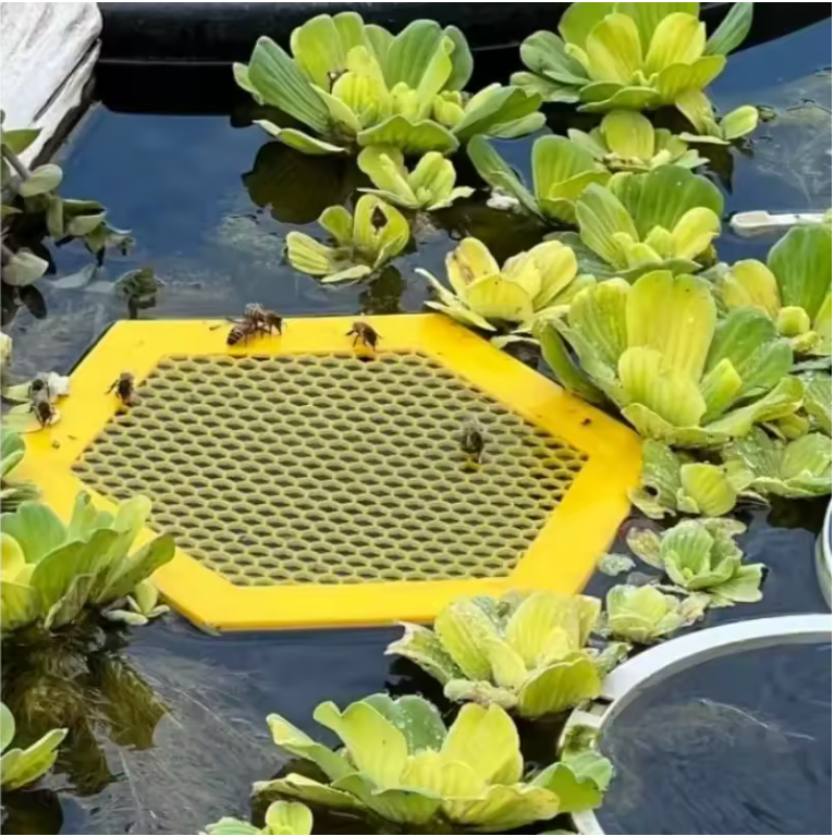 BEBEDERO DE 🐝💛 Jardín & Terraza