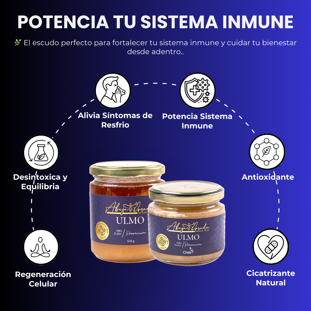 Miel de Ulmo 💛 POTENCIA TU SISTEMA INMUNE