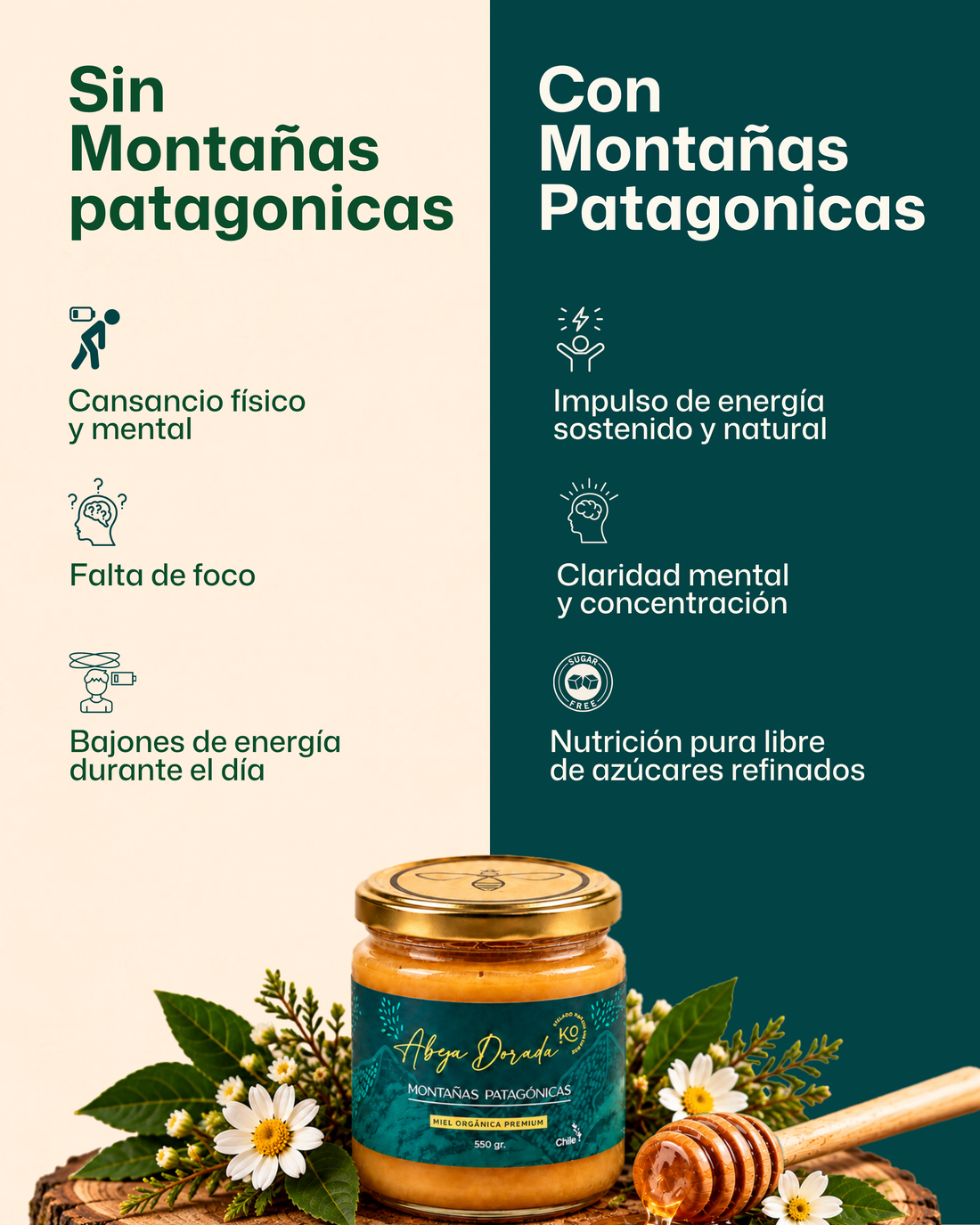 Miel Orgánica Montañas Patagónicas 💛 ENERGÍA Y CONCENTRACIÓN