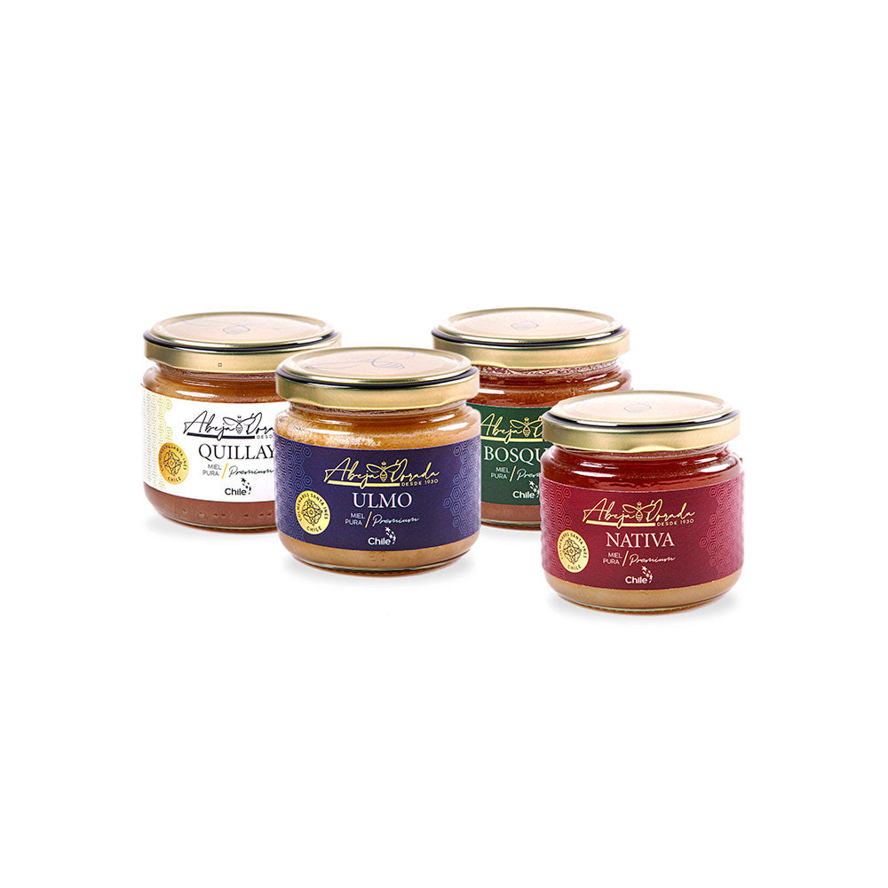 Pack Mieles de Chile - 4 x 250gr