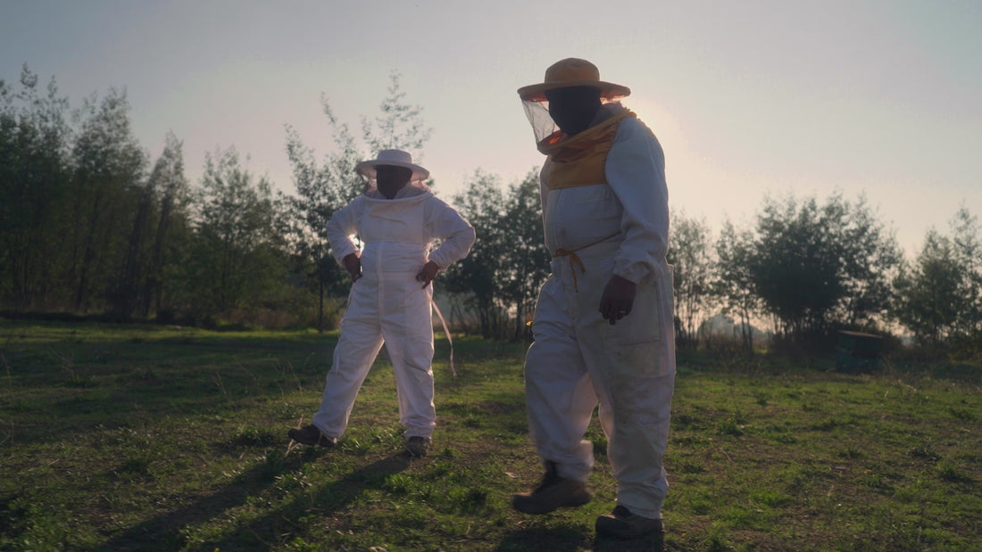 Abeja Dorada en Top Chef